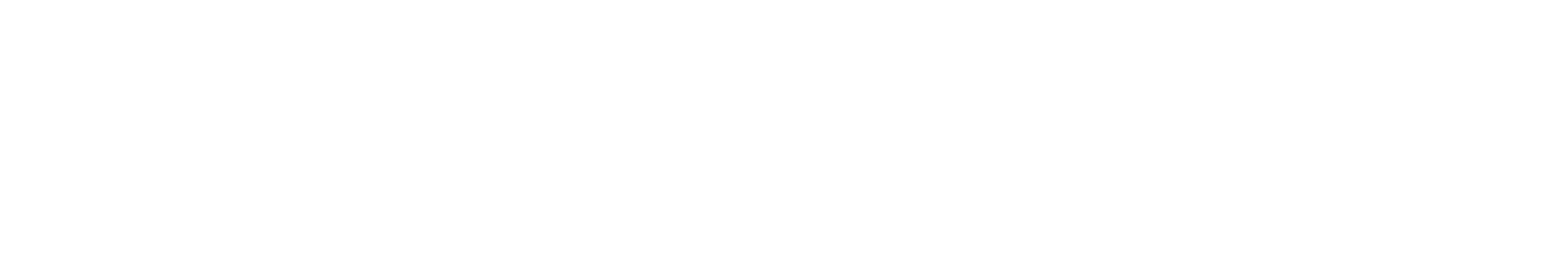 EU Flag Disclaimer